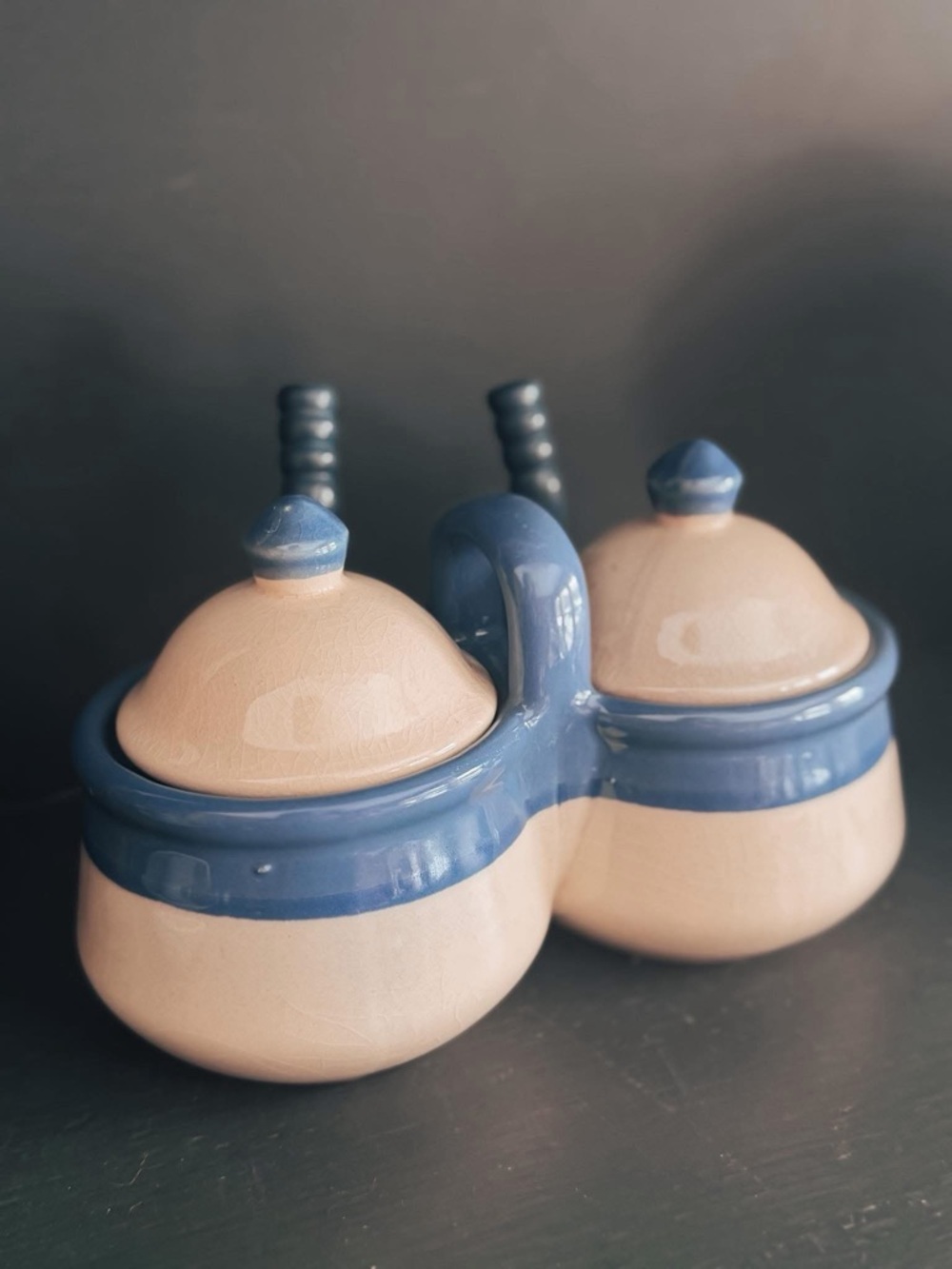Ceramic Double Spice Jar Set with Blue Trim